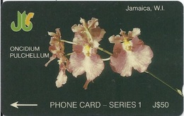 JAMAICA - ONCIDIUM PULCHELLUM - 6JAME - Jamaica