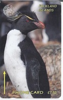 FALKLAND ISLANDS - ROCKHOPPER PENGUIN - 1CWFA - Falklandeilanden