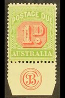 POSTAGE DUES 1909 1d Rosine And Yellow Green Die 1, Very Fine Mint Lower Marginal Copy Showing JBC Monogram. For More Im - Andere & Zonder Classificatie