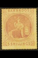 1873 5s Dull Rose Britannia, SG 64, An Attractive Mint Example With Good Colour And Large Part Gum. For More Images, Ple - Barbades (...-1966)