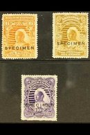 1897 6d Yellow Brown, 2s 6d Olive Bistre And 10s Violet Overprinted "Specimen", SG 71s, 73s, 74s, Very Fine Mint. (3 Sta - Andere & Zonder Classificatie