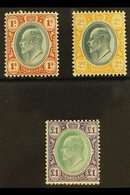 TRANSVAAL 1903 Ed VII Set 1s To £1, Wmk Crown CA, SG 256/8, Very Fine Mint. (3 Stamps) For More Images, Please Visit Htt - Non Classés