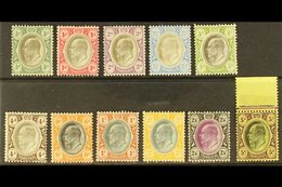 TRANSVAAL 1904-09 Set To 5s, SG 260/270, Very Fine Mint, The 5s Nhm. (11 Stamps) For More Images, Please Visit Http://ww - Ohne Zuordnung