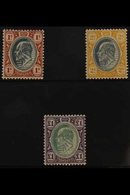 TRANSVAAL 1903 KEVII CA Wmk Set To £1, SG 256/258, Very Fine, Lightly Hinged Mint (3 Stamps) For More Images, Please Vis - Ohne Zuordnung