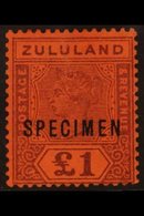ZULULAND 1894 £1 Purple / Red Opt'd "SPECIMEN", SG 28s, Mint, Slightest Rub At Top. For More Images, Please Visit Http:/ - Unclassified
