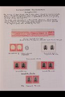 1929 DARMSTADT TRIALS Nice Group Of Items Written Up On An Album Page, We See Hunter-Penrose Dummy Cigarette Label In Ro - Unclassified