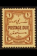 POSTAGE DUE 1929-39. 1m Red Brown, P 13½ X 13, SG D189a, Fine Mint For More Images, Please Visit Http://www.sandafayre.c - Jordan