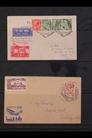 1934 "APEX" EXHIBITION A Collection Of Exhibition Covers And Cinderella Labels For The 1934 APEX (Air Post Exhibition) H - Unclassified