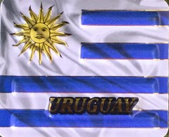 Uruguay Flag 3D Fridge Magnet, From Uruguay - Magnetos