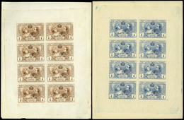 Año 1907 - Conjunto 10 HB S/Dentar (bloque Reporte 8 Sellos) En Diversos Colores. Excepcional Conjunto - Ongebruikt