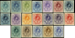 Año 1909 - Conjunto De 19 Pruebas De Color Sobre El 15 Cts. S/D, En Distintos Colores (Galvez 1854...+..) - Ongebruikt