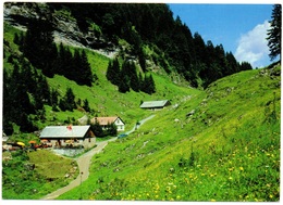 FILZBACH Gasthaus Talalpsee Stempel Frau M. DALL'OSTO - Filzbach