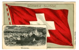 WEINFELDEN Panorama Passepartout Schweiz Flagge Farbelitho 1909 - TG Thurgovie