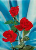 Fleurs - Roses Rouges - Carte Relief - Semi Moderne Grand Format - 2 Scans - état - Fleurs