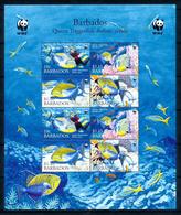 Barbados 2006, Marine Life, Diving, Sheetlet - Immersione