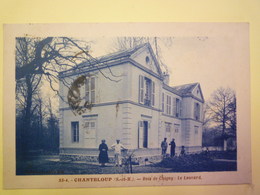 GP 2019 - 1311  CHANTELOUP  (Seine-et-Marne)  :  Bois De Chigny  -  Le Louvard   1929   XXX - Andere & Zonder Classificatie