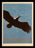 14574-GERMAN EMPIRE-MILITARY PROPAGANDA POSTCARD NS-AIR CORPS.1942.WWII.Fellbach.DEUTSCHES REICH.POSTKARTE.carte Postale - Covers & Documents