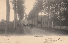 Anthée  Route De Dinant Circulé En 1903 - Onhaye