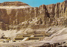 Cp , ÉGYPTE , LOUXOR , Deir El Bahari: Temple De Hatchepsout - Louxor