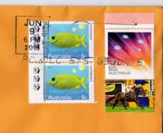 Australia 2015 Black Caviar Horseracing & 5c Rabbitfish, 3 Koalas On Domestic Letter - Briefe U. Dokumente