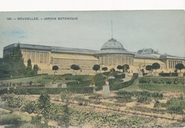 CPA - Belgique - Brussels - Bruxelles - Jardin Botanique - Parks, Gärten