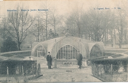 CPA - Belgique - Brussels - Bruxelles - Dans Le Jardin Botanique - Foreste, Parchi, Giardini