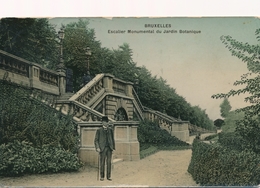 CPA - Belgique - Brussels - Bruxelles - Escalier Monumentale Du Jardin Botanique - Bossen, Parken, Tuinen