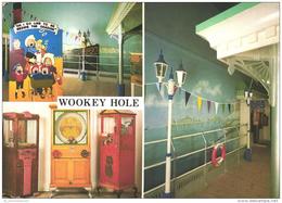 Wells / Wookey Hole (D-A238) - Wells