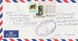 Ethiopia 2007 Teppi Swallow Millennium Cover - Rondini