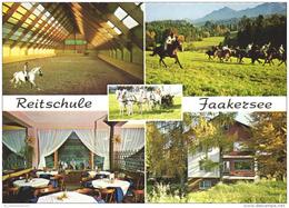 Latschach / Faakersee / Reitschule / Pferde / Horses / Chevaux (D-A274) - Faakersee-Orte