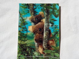 3d 3 D Lenticular Stereo Postcard Koala Bears  1969   A 190 - Estereoscópicas