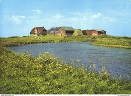 Hallig Hooge / Ockelützwarft (D-A277) - Halligen