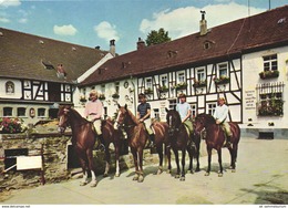 Königstein / Rettershof / Pferde / Chevaux / Horses (D-A282) - Königstein