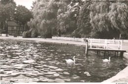 Eutin (D-KW121) - Eutin