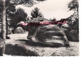 77- NEMOURS- LA TORTUE  ROCHER GREAU -1949 - Nemours