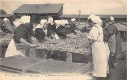 85-LES-SABLES-D'OLONNE-LE REMUAGE DES SARDINES - Sables D'Olonne