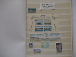 SAINT PIERRE Et MIQUELON  Année 1994   Neuf ( Voir Photo) Cote 39,30  Euros - Komplette Jahrgänge