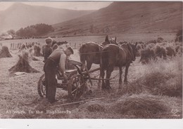 ROYAUME UNI . At Work In The Highlands  ( Scène De Moisson Avec Moissonneuse Et Attelage De Chevaux ) - Wagengespanne