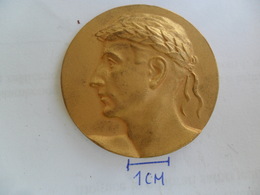 MEDAL Gymnastics 1966/67    KUT - Gimnasia