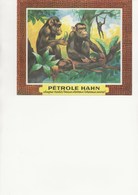 BUVARD - PUBLICITE PETROLE HAHN - Dieren