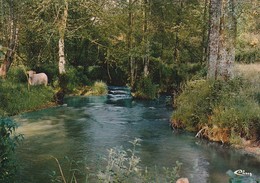 CHAMPDENIERS. -  Les Rives De L'Egray - Champdeniers Saint Denis