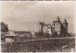 SAUMUR - Le Château Vu Du Musée De La Vigne - CPSM GF - Saumur