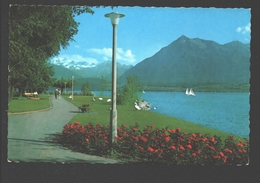 Hilterfingen Am Thunersee - Strandpromenade - Blümlisalp, Niesen - Hilterfingen