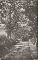 The Hay Tor Road, Bovey Tracey, Devon, C.1905-10 - Chapman Postcard - Dartmoor