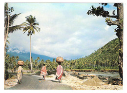 Mitsamihouli  (Grande Comore) Sur La Route Côtière - Comores