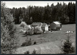 C5679 - TOP Erlbach OT Eulabrunn - Gaststätte Waldschänke - Erlbach - Markneukirchen