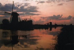 CPM - Les Moulins De Kinderdijk - Kinderdijk