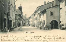 SUISSE  COPPET  La Rue - Coppet