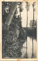 Valkenswaard, Langs E Tongelreep  (type Fotokaart) - Valkenswaard