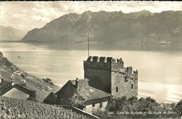 ( VAUDOISE DE PUIDOUX )( SUISSE ) TOUR DE MARSENS ET LES ALPES DE SAVOIE - Marsens